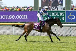 Hasahalo (NZ) (Savabeel) winning the 2017 1000 Guineas.